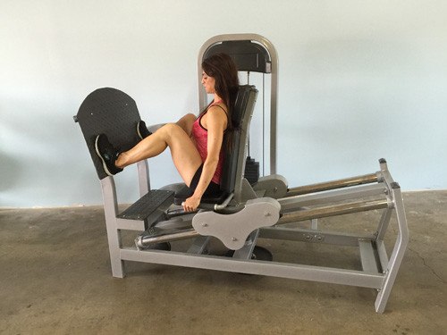 MuscleD Seated Leg Press Fitness Equipment Broker: Professional