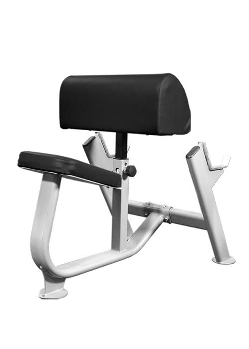 Preacher Curl Bench
