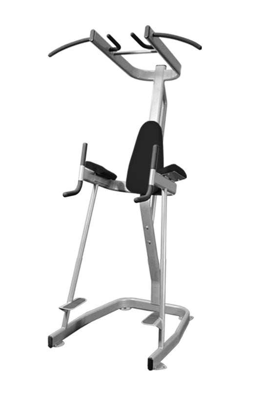 Vertical Knee Raise Chin Dip Tower