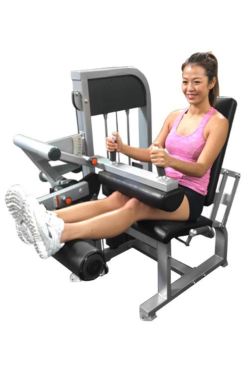 Seated LEG EXTENSION/SEATED LEG CURL COMBO MACHINE Fitness