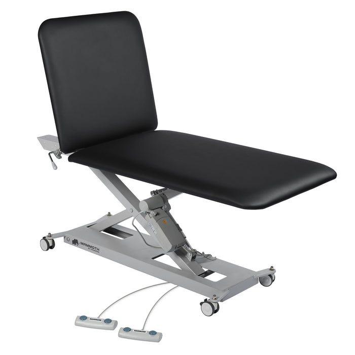 MAMMOTH 2: 2-SECTION HI-LO EXAMINATION TABLE