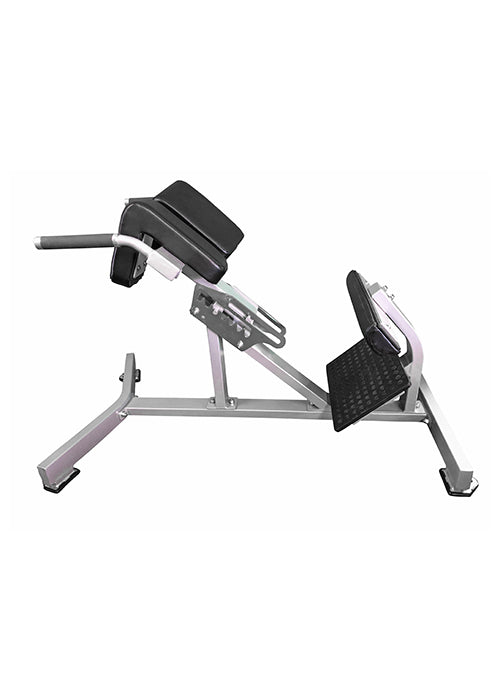Back Extension Bench