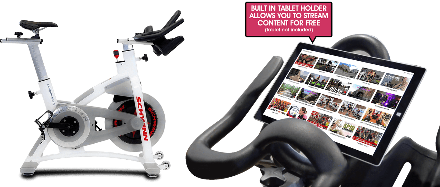 schwinn indoor bike carbon blue